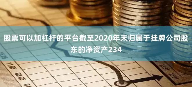 股票可以加杠杆的平台截至2020年末归属于挂牌公司股东的净资产234