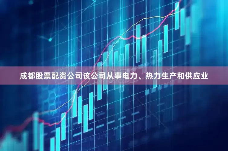 成都股票配资公司该公司从事电力、热力生产和供应业