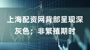 上海配资网背部呈现深灰色；非繁殖期时