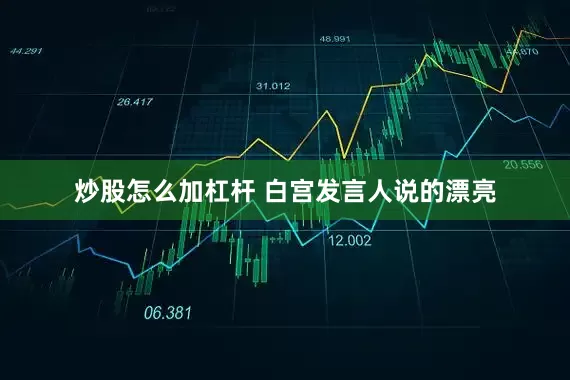 炒股怎么加杠杆 白宫发言人说的漂亮