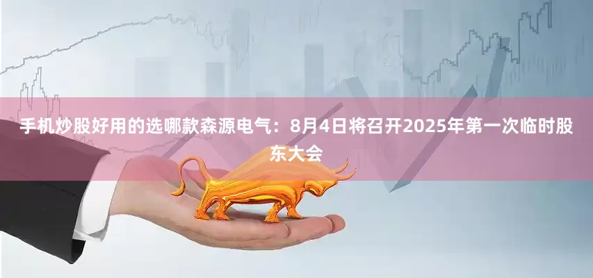 手机炒股好用的选哪款森源电气：8月4日将召开2025年第一次临时股东大会