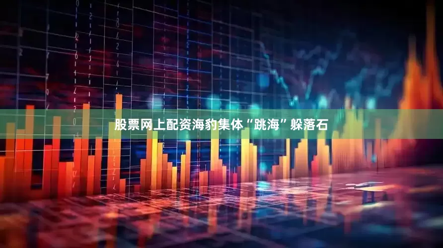 股票网上配资海豹集体“跳海”躲落石