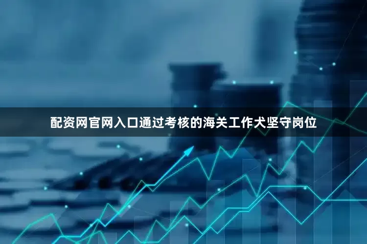 配资网官网入口通过考核的海关工作犬坚守岗位