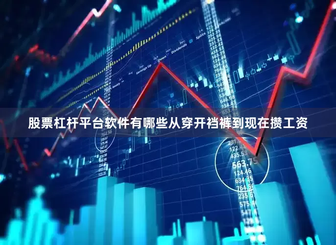 股票杠杆平台软件有哪些从穿开裆裤到现在攒工资